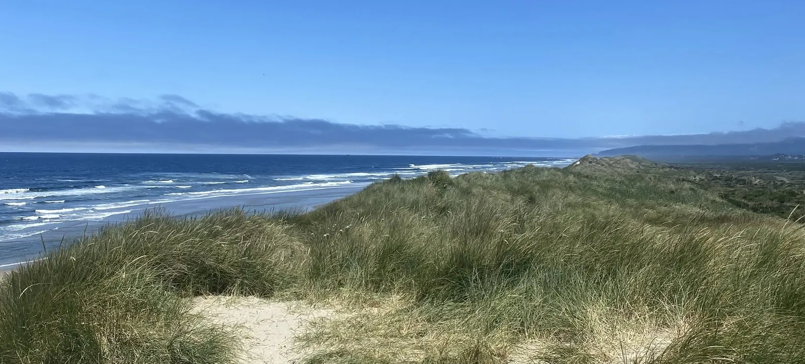 The Oregon coast: dune grass, sand and the Pacific